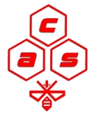 Logo ACS